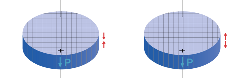 PI Ceramic 1-3 composite discs
