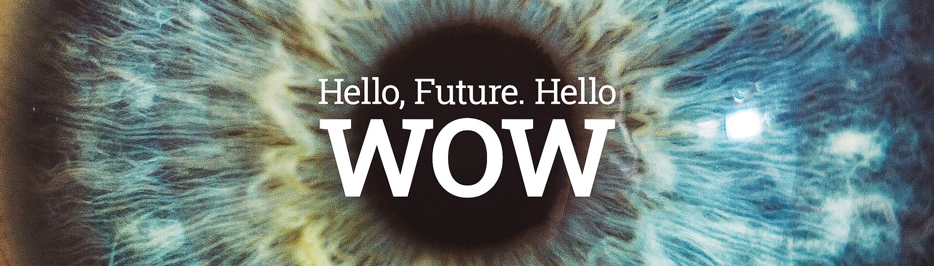 Physik Instrumente Careers – Hello Future