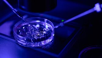 PI Ceramic Precision and Innovation in Modern Reproductive Medicine